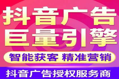 顶级SEM运营公司案例分析